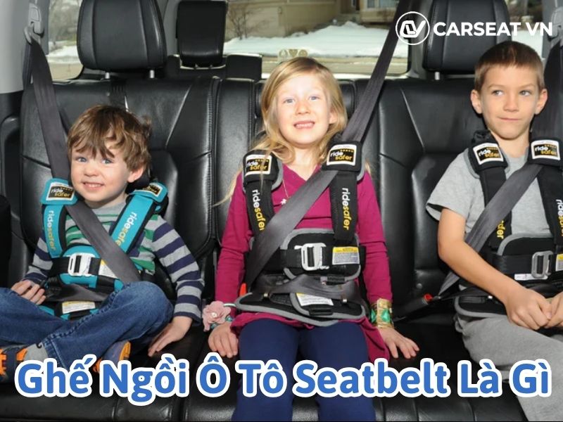 Ghế ngồi ô tô seatbelt là gì